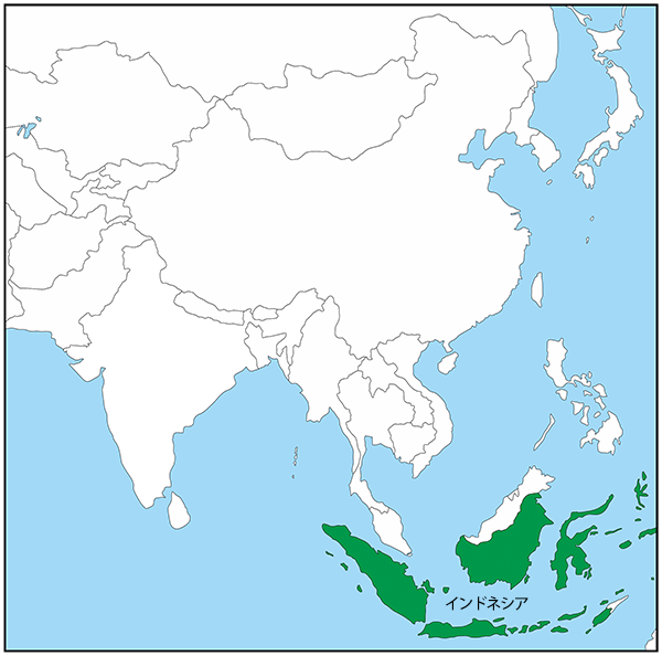 White asia. Карта Азии для маппинга. Южная и Юго-Восточная Азия контурная карта. Контурная Юго Восточная Азия Вьетнама. Контурная карта Азии.