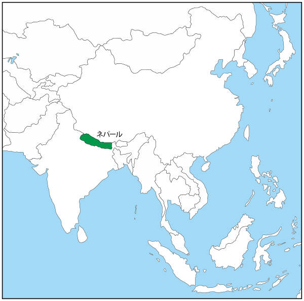 予約 上西産業 世界の国旗 万国旗 ネパール 120×150cm 1529446